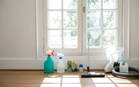 How to Get Rid of Stink Bugs